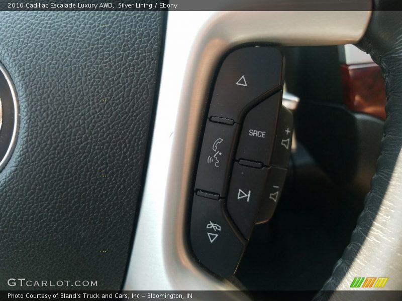 Silver Lining / Ebony 2010 Cadillac Escalade Luxury AWD