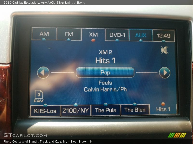 Silver Lining / Ebony 2010 Cadillac Escalade Luxury AWD