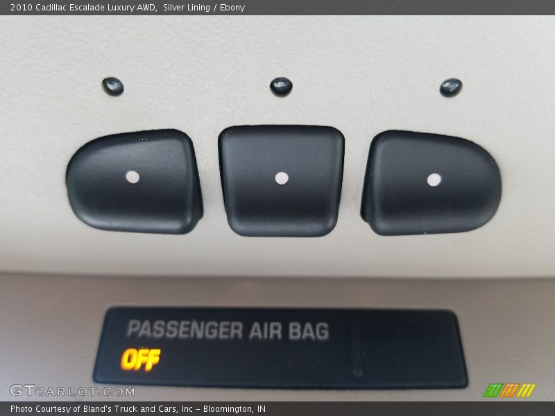 Silver Lining / Ebony 2010 Cadillac Escalade Luxury AWD