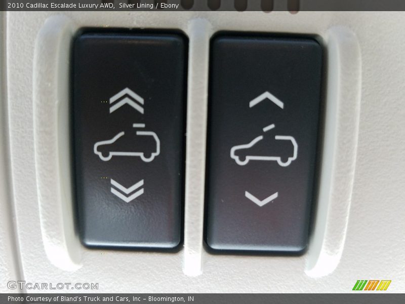 Silver Lining / Ebony 2010 Cadillac Escalade Luxury AWD