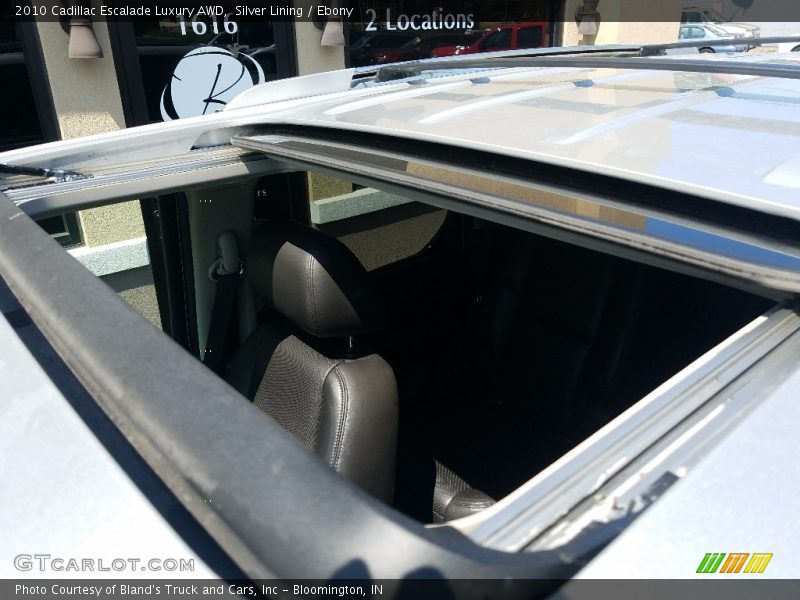 Silver Lining / Ebony 2010 Cadillac Escalade Luxury AWD