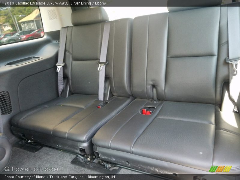 Silver Lining / Ebony 2010 Cadillac Escalade Luxury AWD