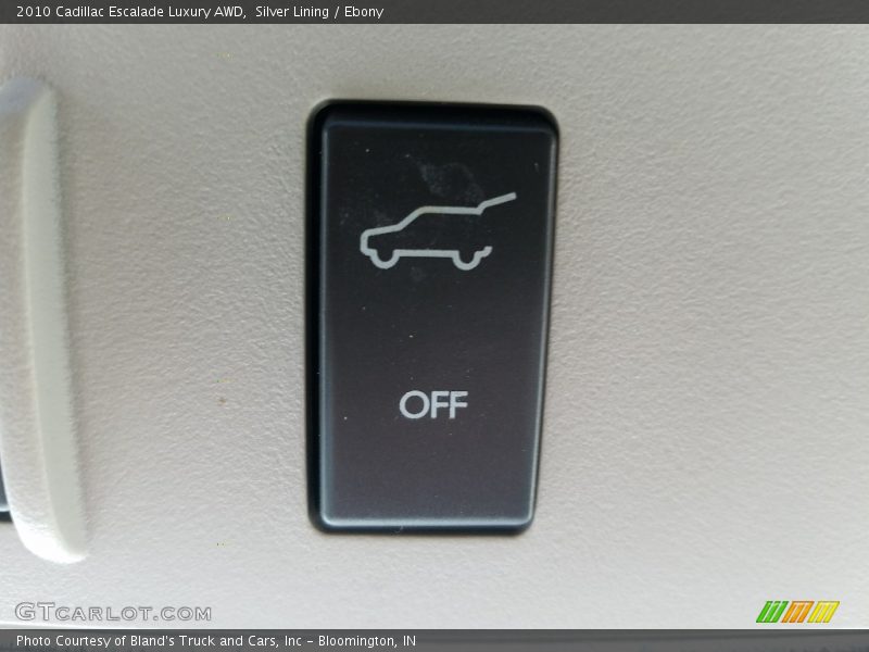 Silver Lining / Ebony 2010 Cadillac Escalade Luxury AWD