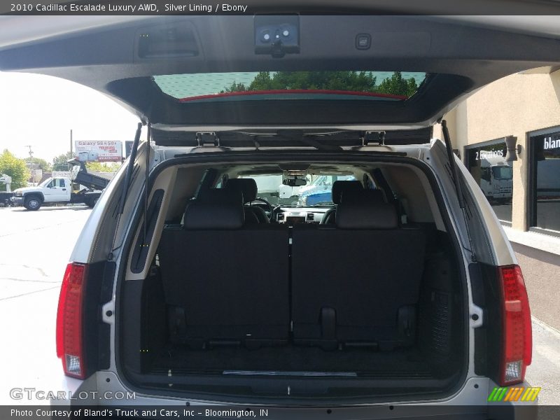 Silver Lining / Ebony 2010 Cadillac Escalade Luxury AWD