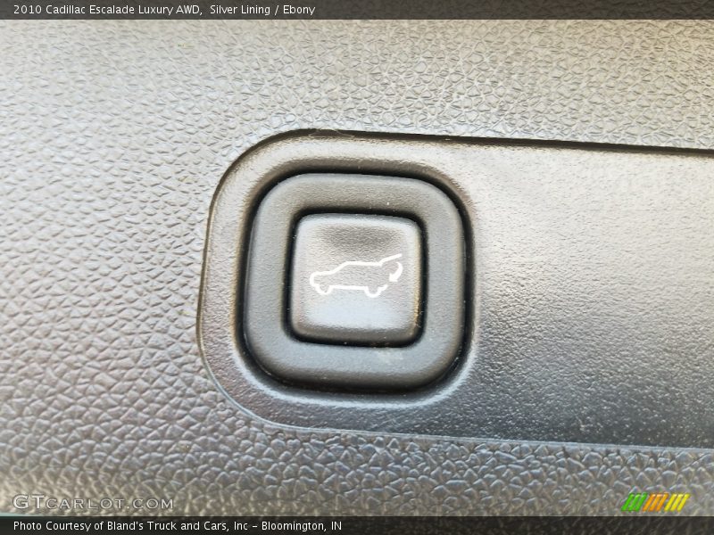 Silver Lining / Ebony 2010 Cadillac Escalade Luxury AWD