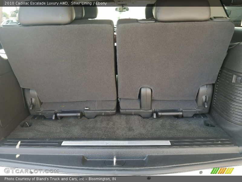 Silver Lining / Ebony 2010 Cadillac Escalade Luxury AWD