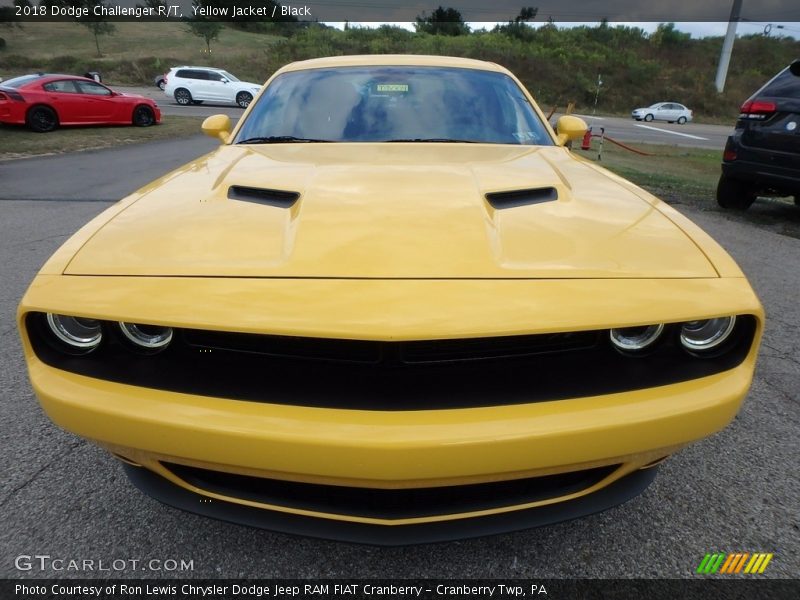 Yellow Jacket / Black 2018 Dodge Challenger R/T