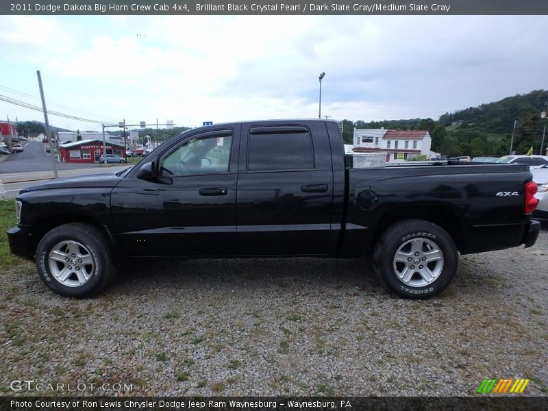 Brilliant Black Crystal Pearl / Dark Slate Gray/Medium Slate Gray 2011 Dodge Dakota Big Horn Crew Cab 4x4