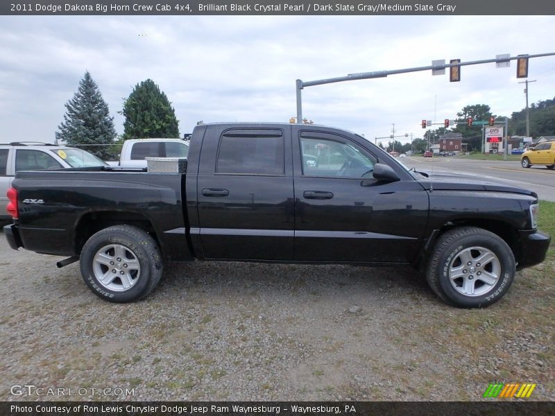 Brilliant Black Crystal Pearl / Dark Slate Gray/Medium Slate Gray 2011 Dodge Dakota Big Horn Crew Cab 4x4