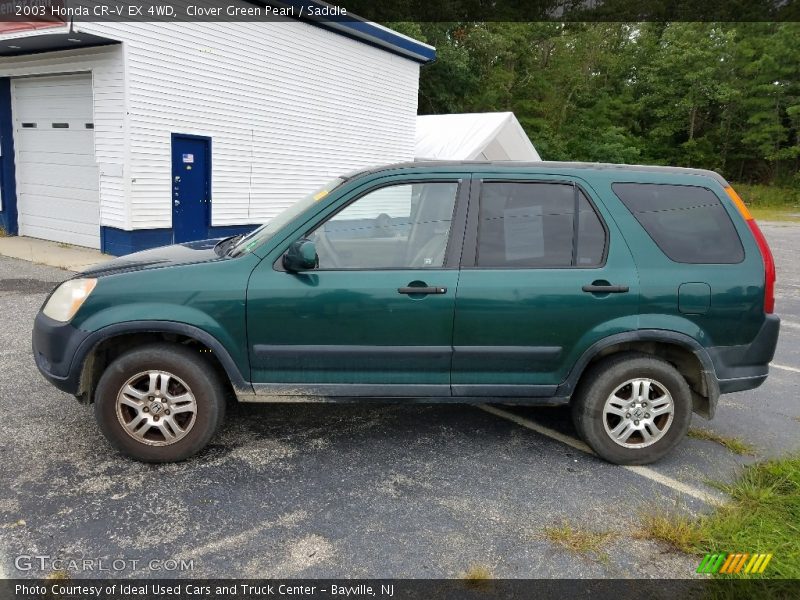  2003 CR-V EX 4WD Clover Green Pearl