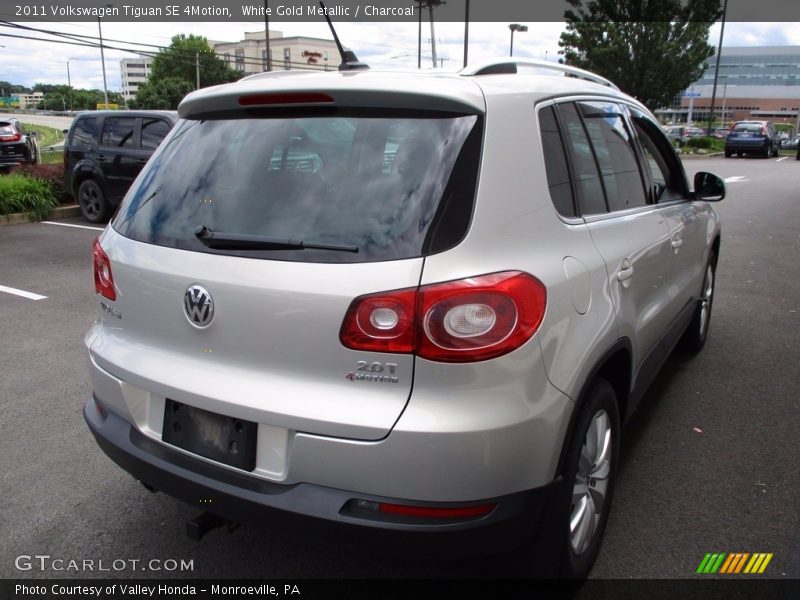 White Gold Metallic / Charcoal 2011 Volkswagen Tiguan SE 4Motion