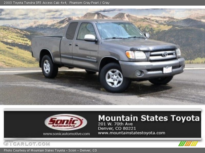 Phantom Gray Pearl / Gray 2003 Toyota Tundra SR5 Access Cab 4x4