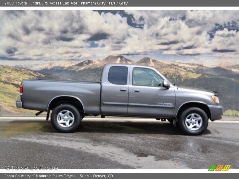 Phantom Gray Pearl / Gray 2003 Toyota Tundra SR5 Access Cab 4x4