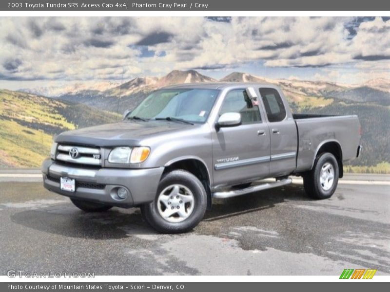 Phantom Gray Pearl / Gray 2003 Toyota Tundra SR5 Access Cab 4x4