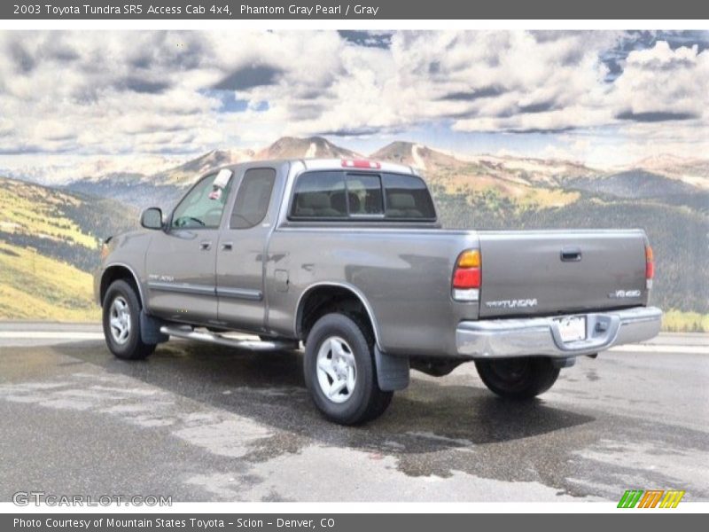Phantom Gray Pearl / Gray 2003 Toyota Tundra SR5 Access Cab 4x4