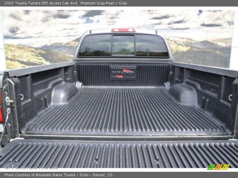 Phantom Gray Pearl / Gray 2003 Toyota Tundra SR5 Access Cab 4x4