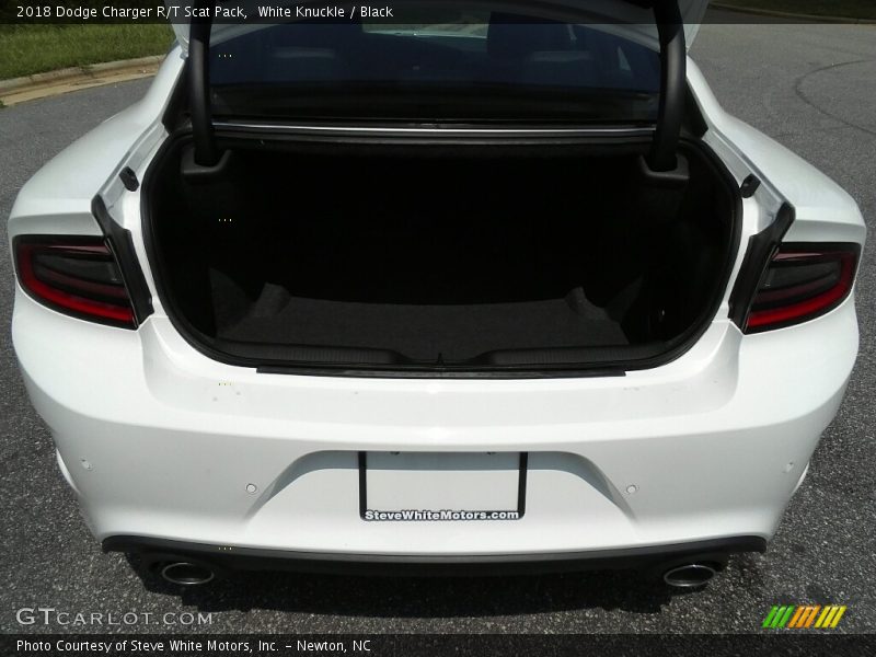 White Knuckle / Black 2018 Dodge Charger R/T Scat Pack