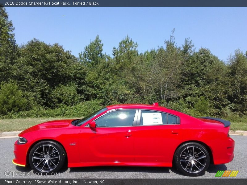 Torred / Black 2018 Dodge Charger R/T Scat Pack