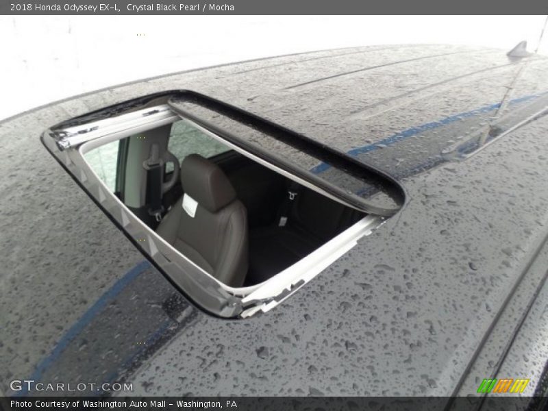 Crystal Black Pearl / Mocha 2018 Honda Odyssey EX-L
