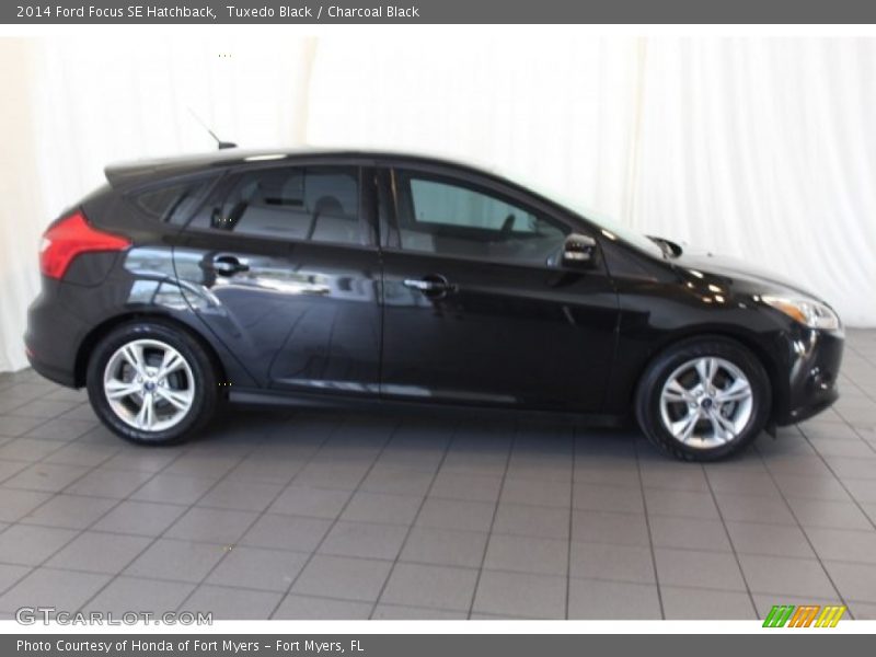 Tuxedo Black / Charcoal Black 2014 Ford Focus SE Hatchback