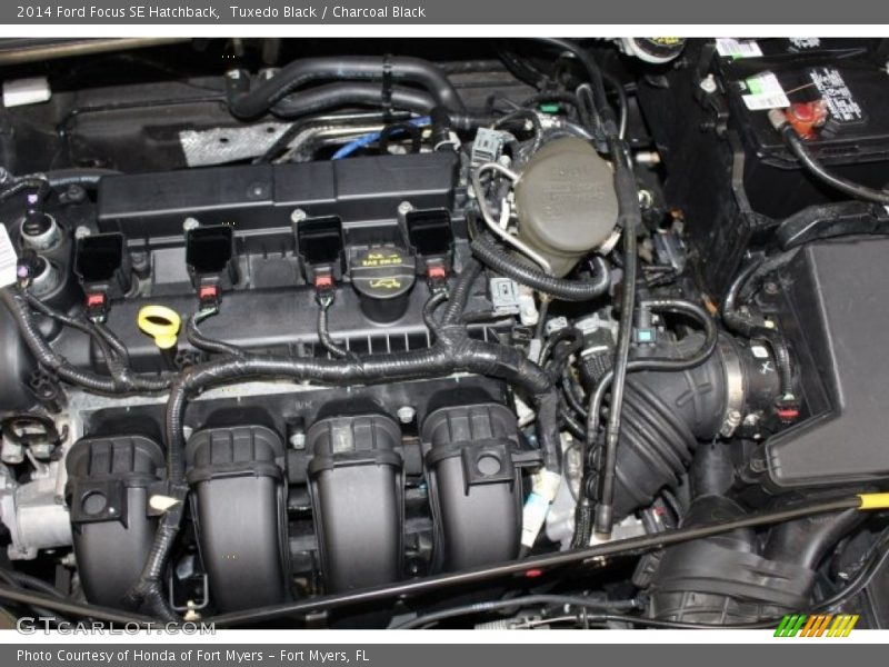 Tuxedo Black / Charcoal Black 2014 Ford Focus SE Hatchback