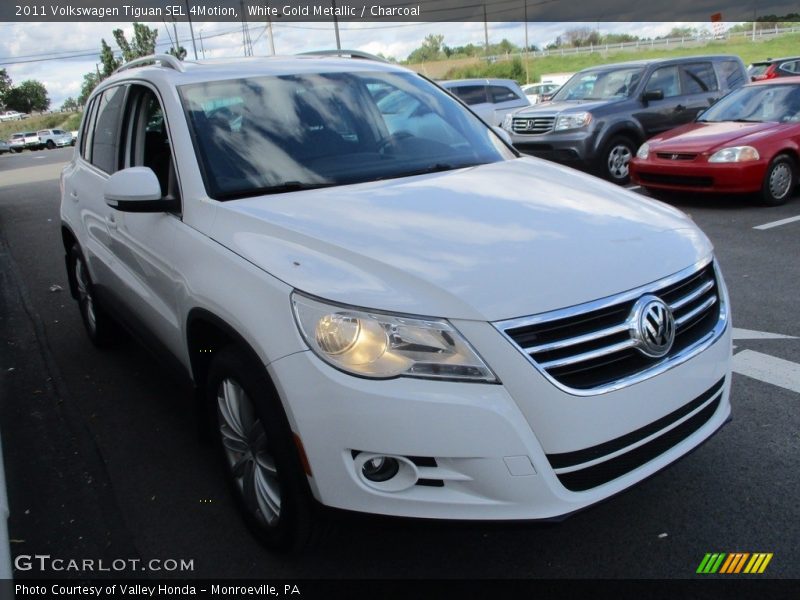 White Gold Metallic / Charcoal 2011 Volkswagen Tiguan SEL 4Motion