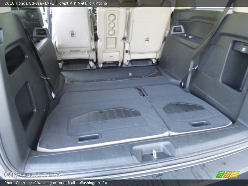 Forest Mist Metallic / Mocha 2018 Honda Odyssey EX-L