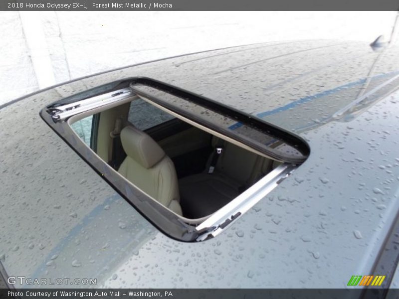 Forest Mist Metallic / Mocha 2018 Honda Odyssey EX-L