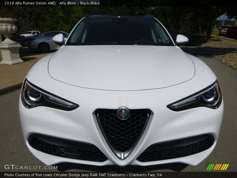  2018 Stelvio AWD Alfa White