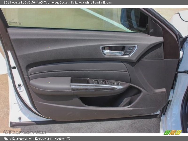 Door Panel of 2018 TLX V6 SH-AWD Technology Sedan