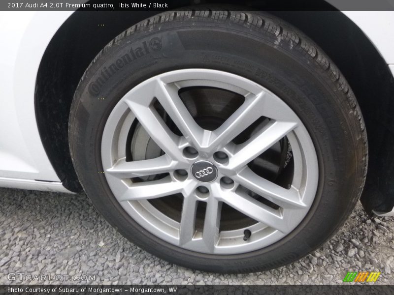 Ibis White / Black 2017 Audi A4 2.0T Premium quattro