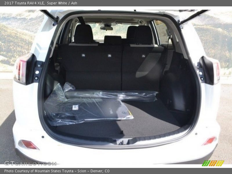 Super White / Ash 2017 Toyota RAV4 XLE