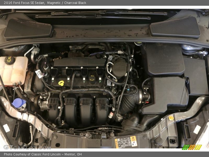 Magnetic / Charcoal Black 2016 Ford Focus SE Sedan