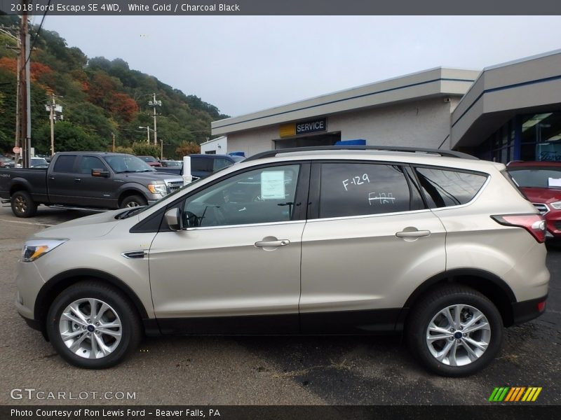 White Gold / Charcoal Black 2018 Ford Escape SE 4WD