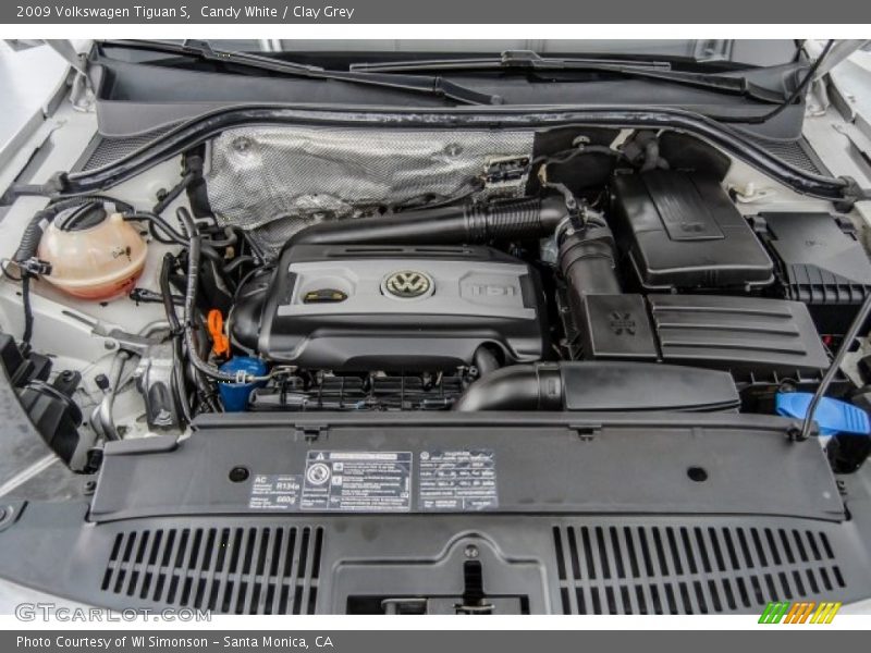 Candy White / Clay Grey 2009 Volkswagen Tiguan S