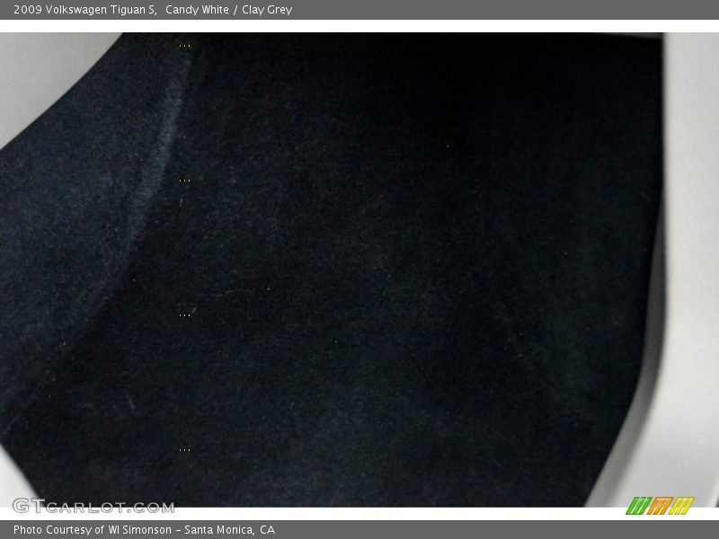 Candy White / Clay Grey 2009 Volkswagen Tiguan S