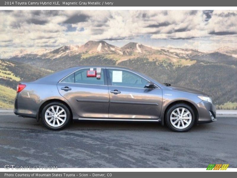 Magnetic Gray Metallic / Ivory 2014 Toyota Camry Hybrid XLE