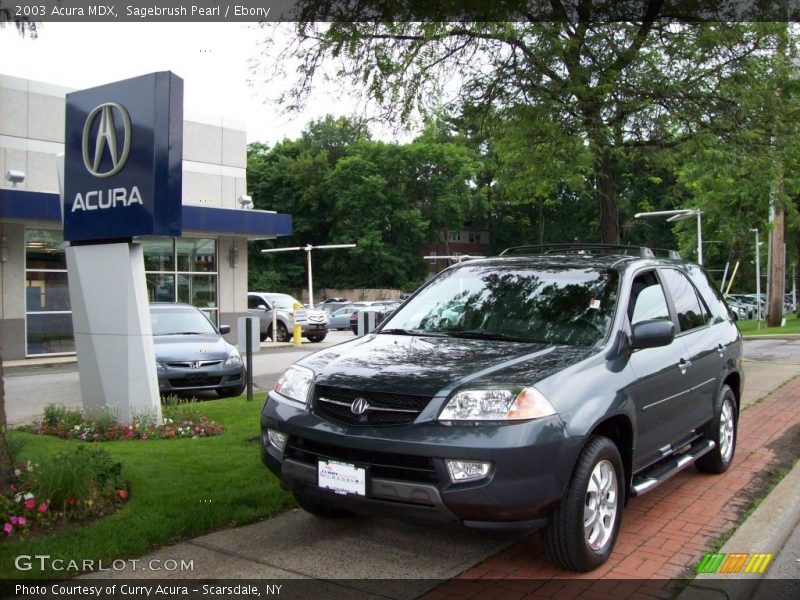 Sagebrush Pearl / Ebony 2003 Acura MDX