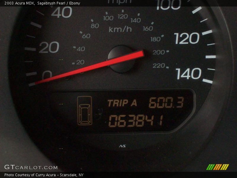Sagebrush Pearl / Ebony 2003 Acura MDX