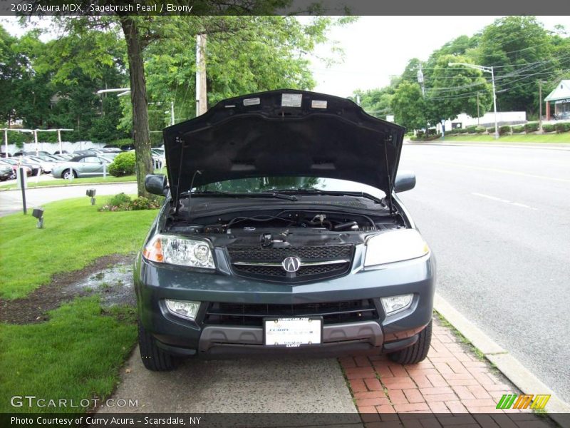 Sagebrush Pearl / Ebony 2003 Acura MDX