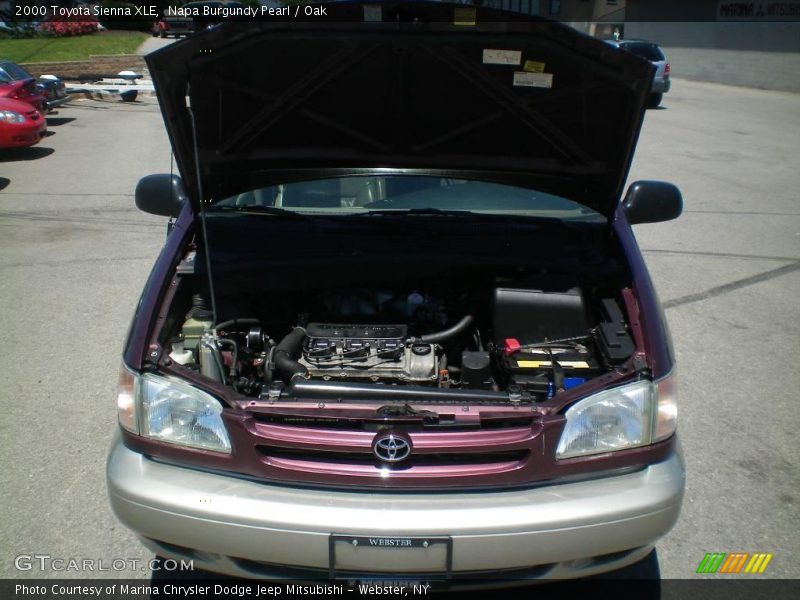 Napa Burgundy Pearl / Oak 2000 Toyota Sienna XLE