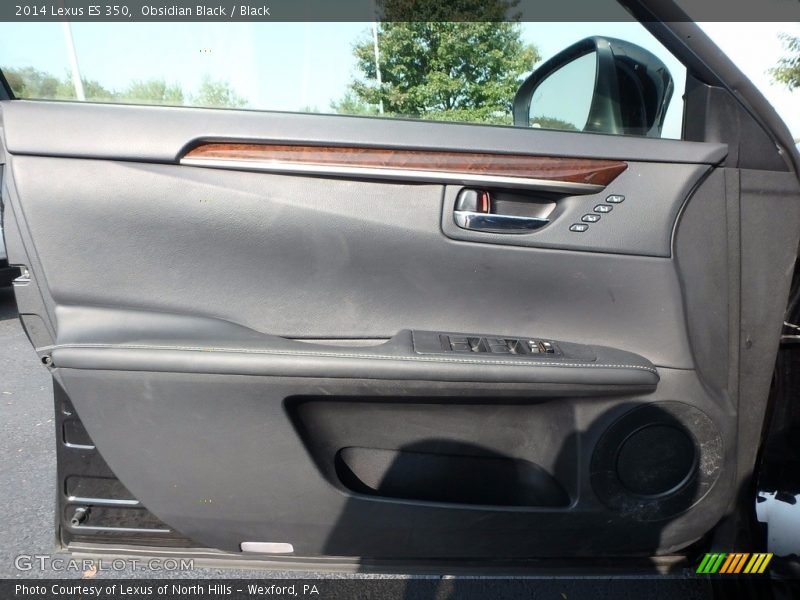 Obsidian Black / Black 2014 Lexus ES 350
