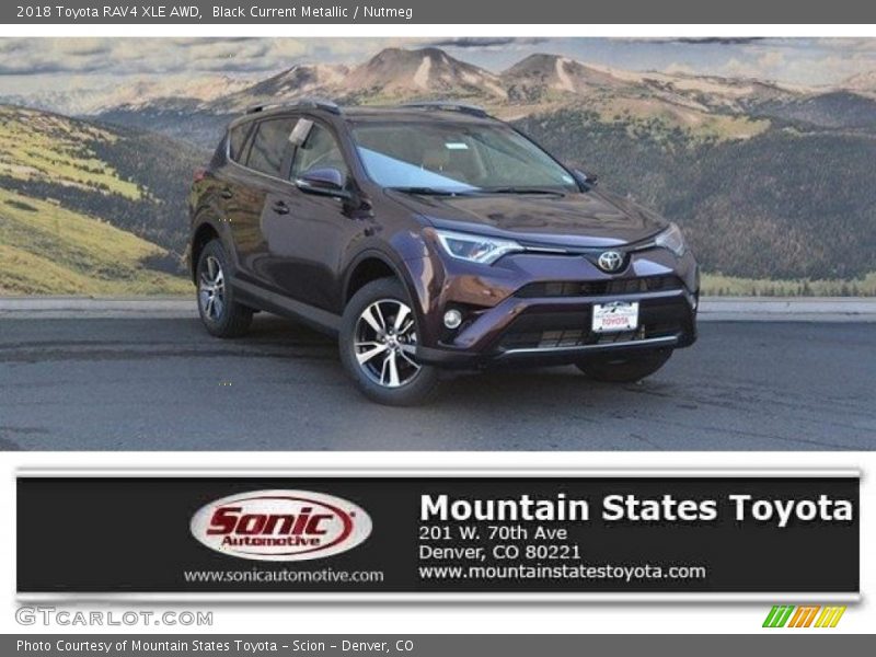 Black Current Metallic / Nutmeg 2018 Toyota RAV4 XLE AWD