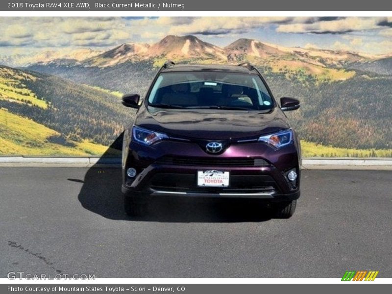 Black Current Metallic / Nutmeg 2018 Toyota RAV4 XLE AWD