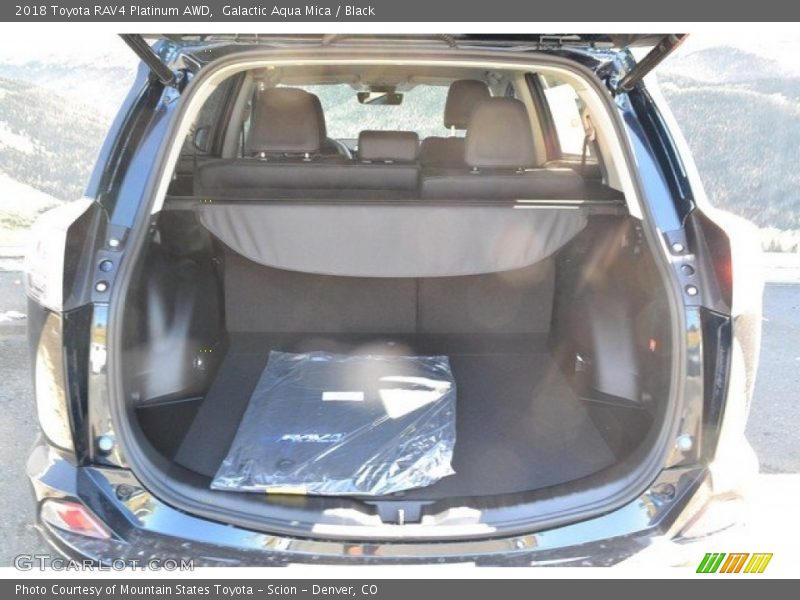 Galactic Aqua Mica / Black 2018 Toyota RAV4 Platinum AWD