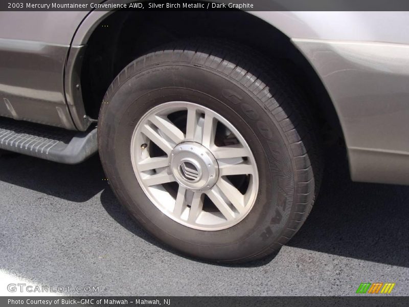 Silver Birch Metallic / Dark Graphite 2003 Mercury Mountaineer Convenience AWD