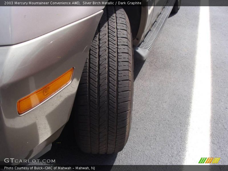 Silver Birch Metallic / Dark Graphite 2003 Mercury Mountaineer Convenience AWD