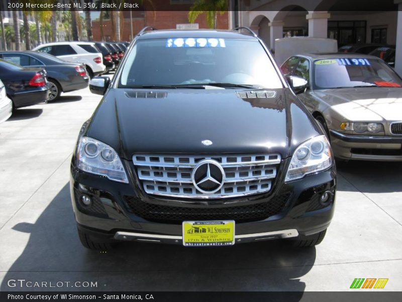 Black / Black 2009 Mercedes-Benz ML 350