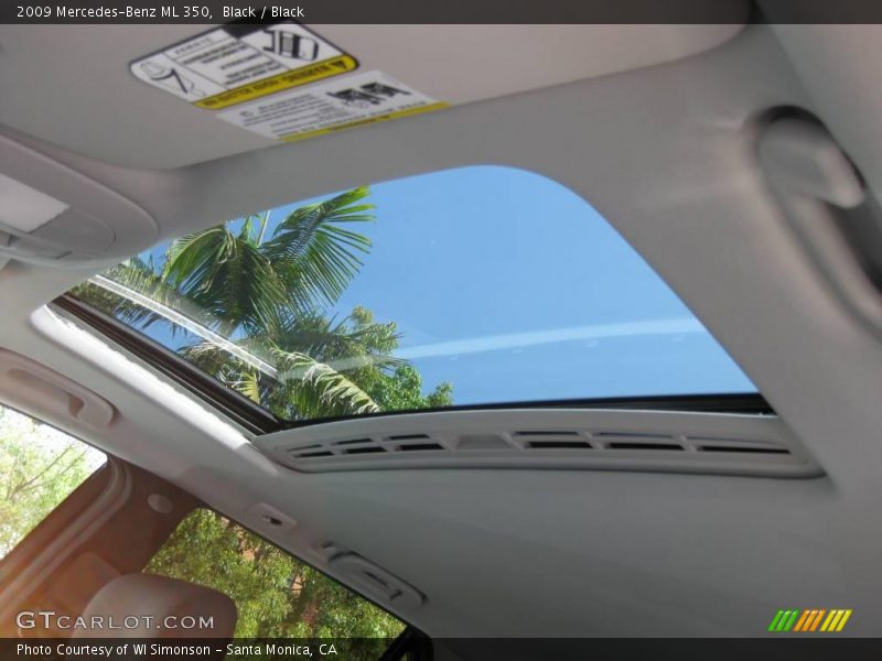 Black / Black 2009 Mercedes-Benz ML 350