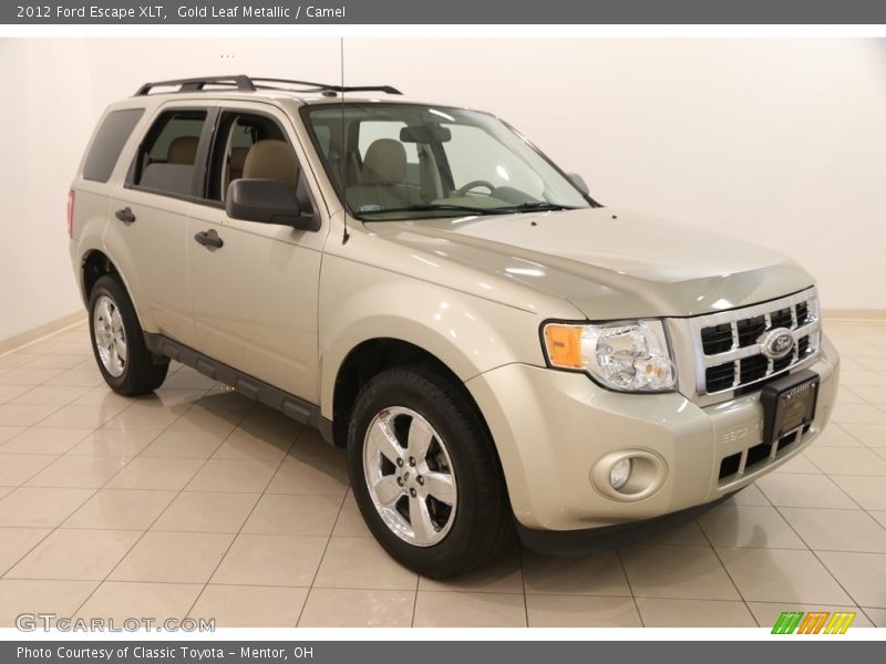 Gold Leaf Metallic / Camel 2012 Ford Escape XLT